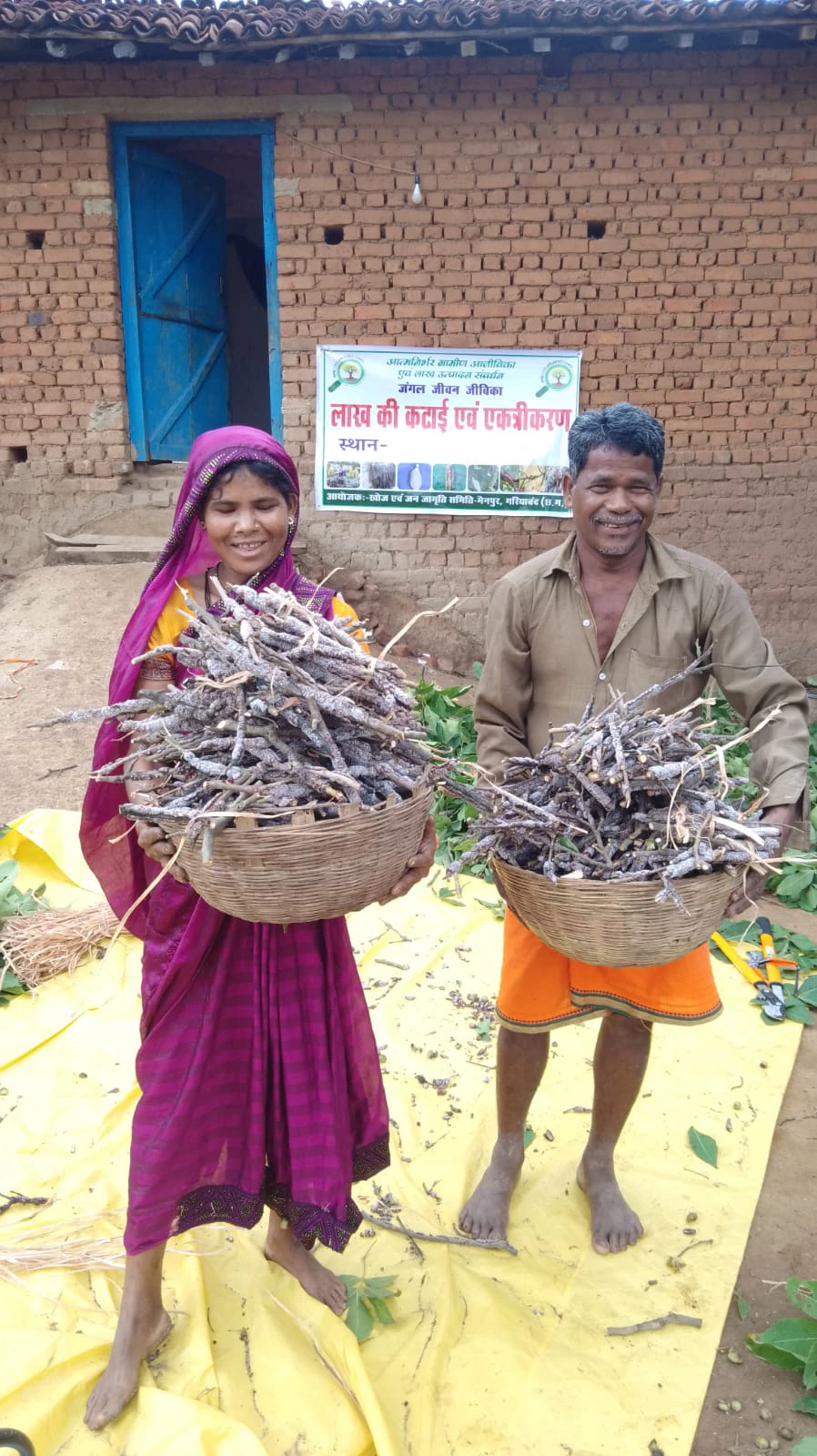 From Forests to Livelihoods: Lac Harvest Brings New Hope for Forest-Dependent Communities